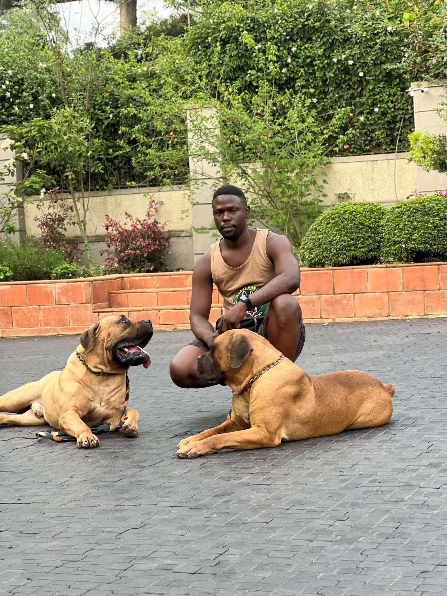 K9 training session
