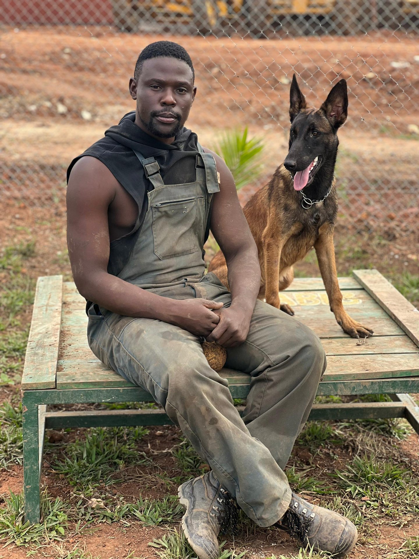 K9 training session