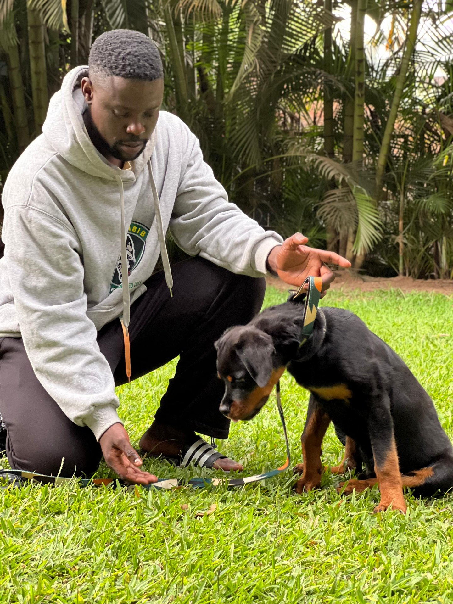 K9 training session