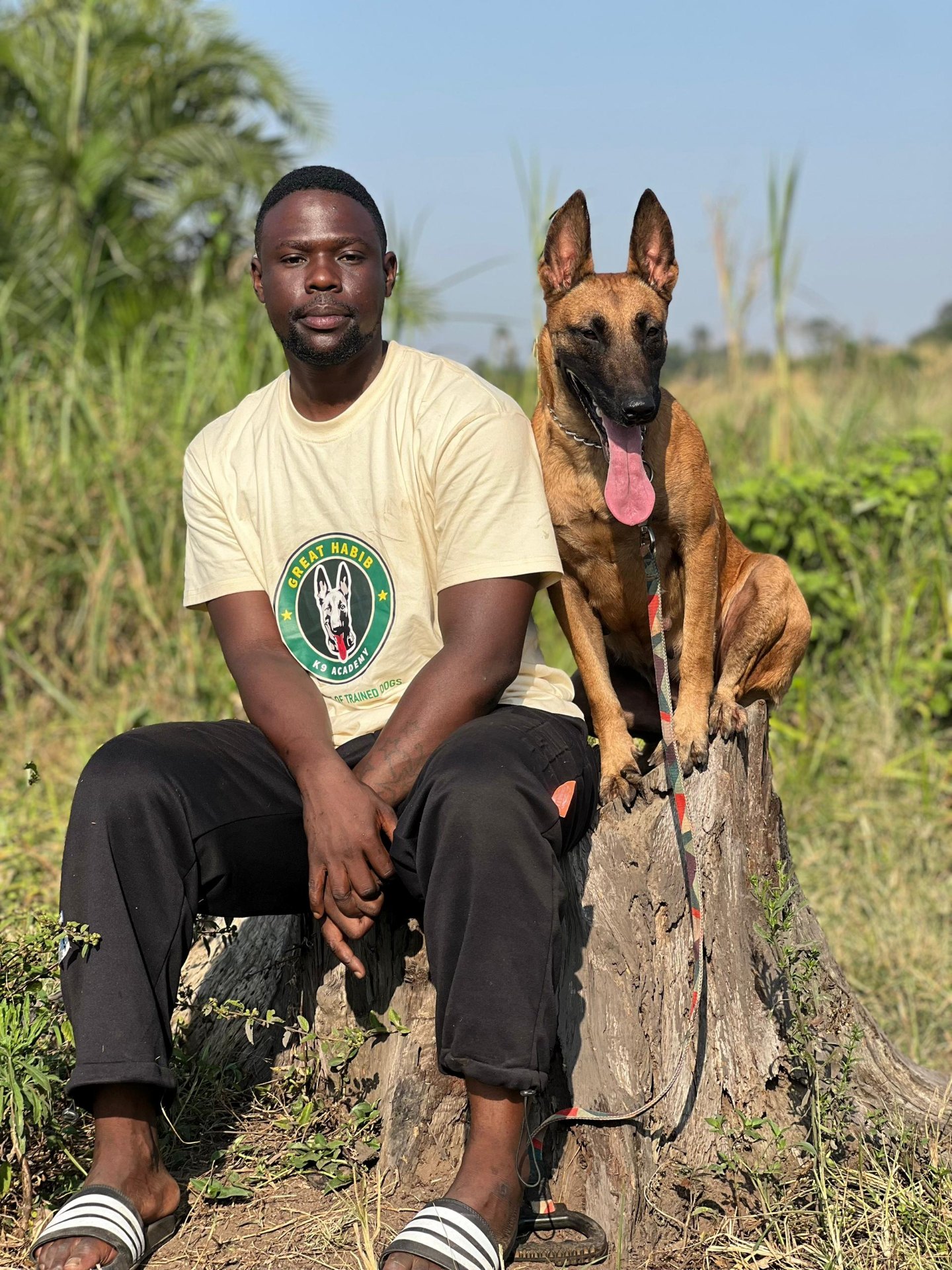K9 training session
