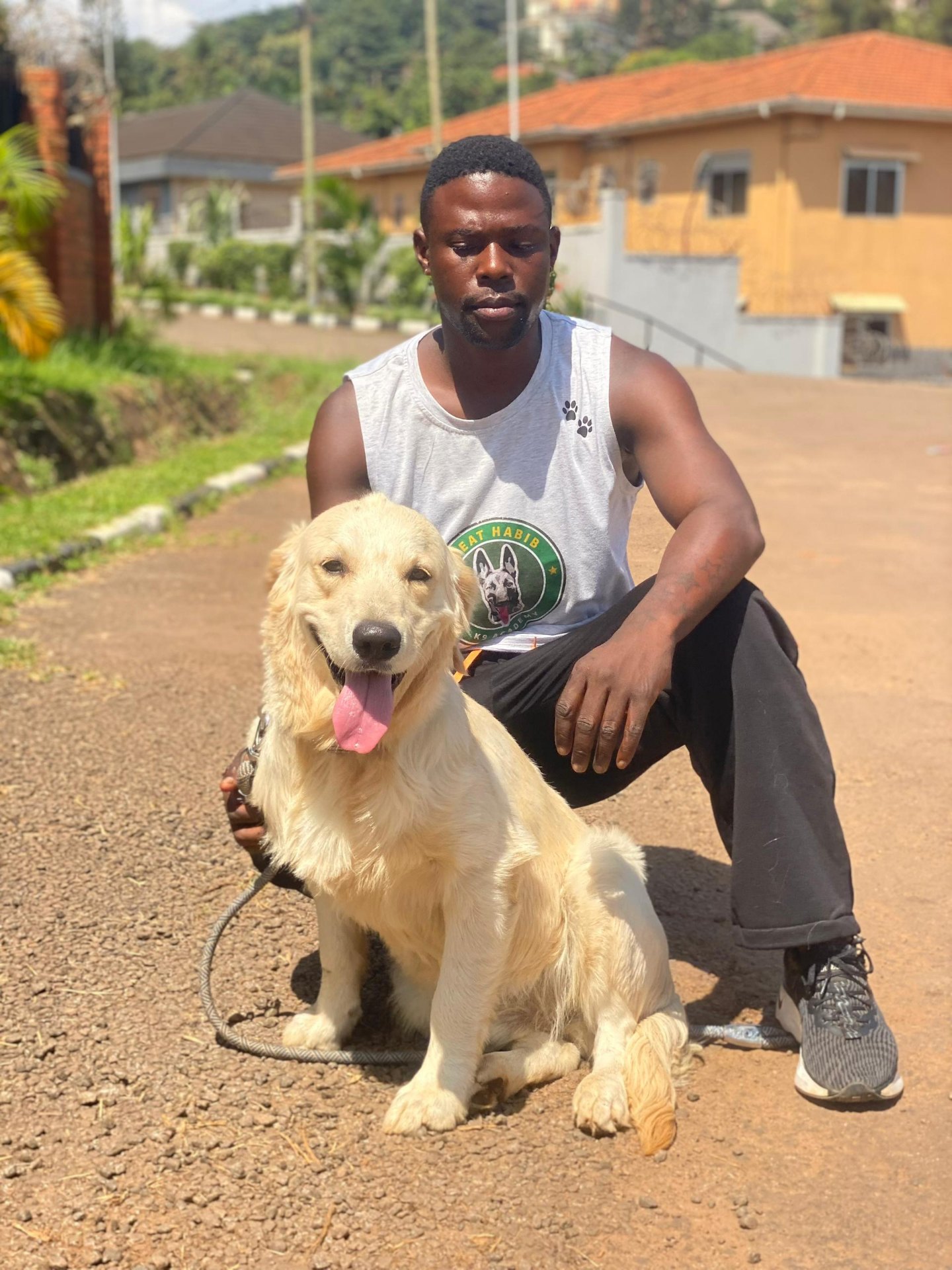 K9 training session