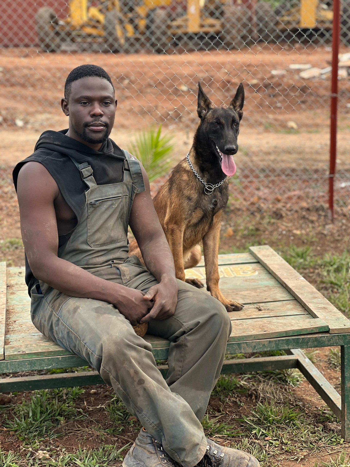 K9 training session